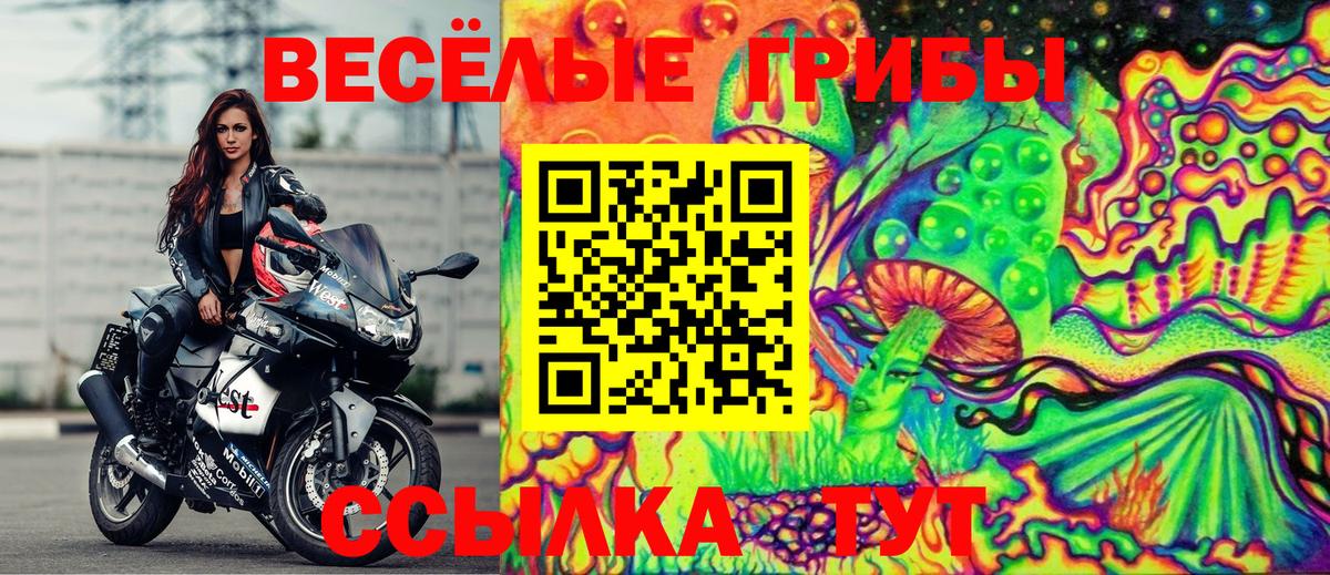 Галлюциногенные грибы мухоморы Междуреченск