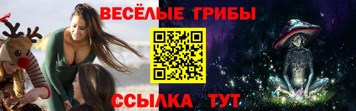 Междуреченск  Галлюциногенные грибы Psilocybine cubensis  Псилоцибиновые грибы мицелий  Вход с VPN 